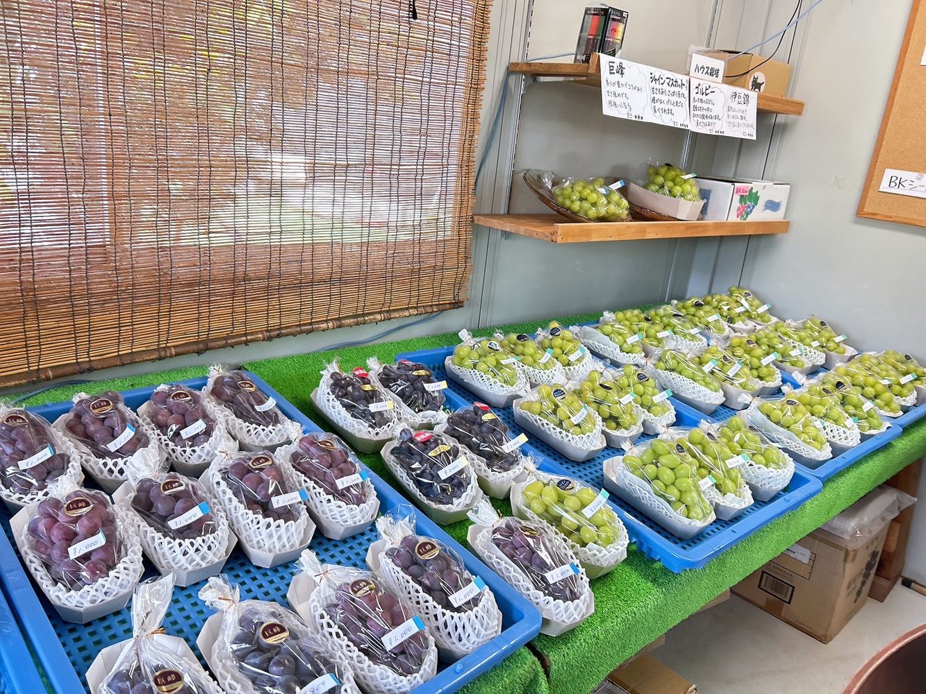 田中果樹園の直売所内に並ぶぶどう